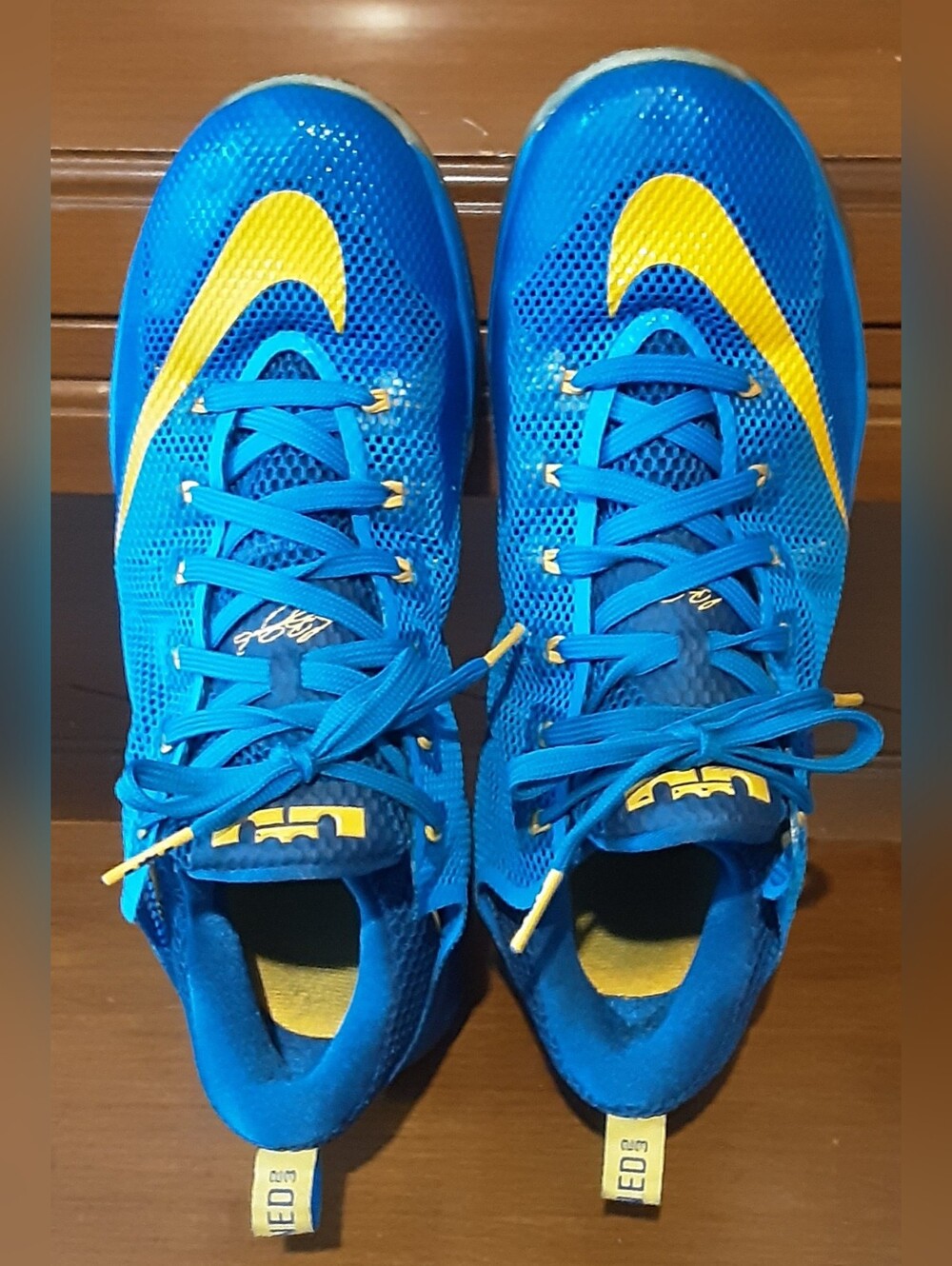 NIKE LeBron James 23 Basketball Sneakers JUST LISTED 6/16/26